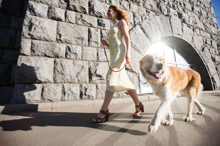 一个漂亮的女人牵着一条大狗在城市里散步.照片