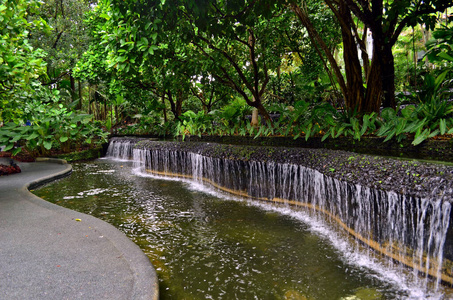 旅游业 池塘 花园 环境 风景 旅行 城市 自然 美丽的