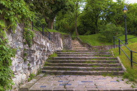 古老的 植物 建筑学 冒险 旅行 森林 步行 岩石 美丽的