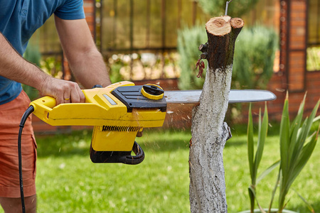 一个人用锯子和专业工具砍树.关心自然.春天花园.照片