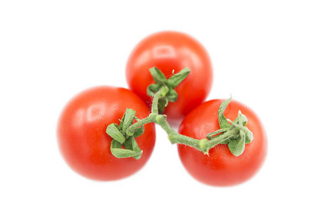 维生素 美味的 烹饪 花园 自然 植物 西红柿 健康 营养