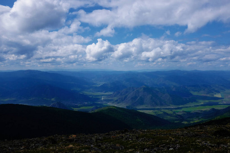 森林 旅游业 美丽的 场景 风景 环境 天空 山谷 小山