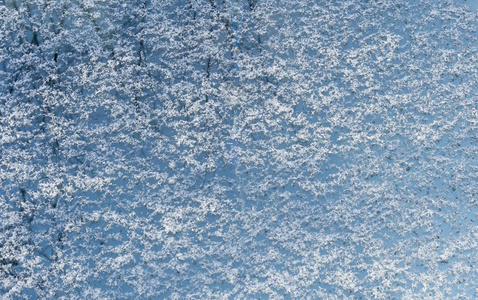 季节 冰山 魔术 晶体 透明的 天气 冰冷的 特写镜头 冻结