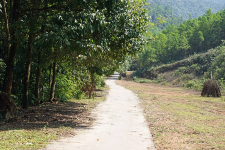 假期 甲状旁腺素 风景 自然 旅行 美丽的 亚洲 旅游业