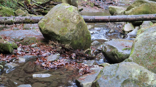 苔藓 运动 风景 流动 树叶 小溪 泼洒 山谷 森林 天空