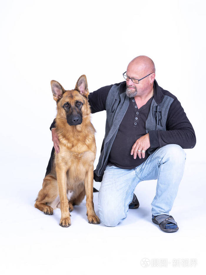 德国牧羊犬的肖像3岁全身白色背景前骄傲的主人单膝坐着胳膊搂着狗狗