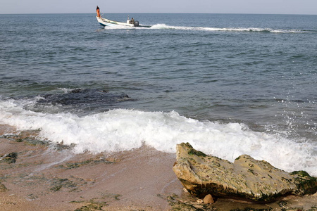 以色列 石头 前进 春天 贝壳 海滩 假期 旅行 海岸 地平线