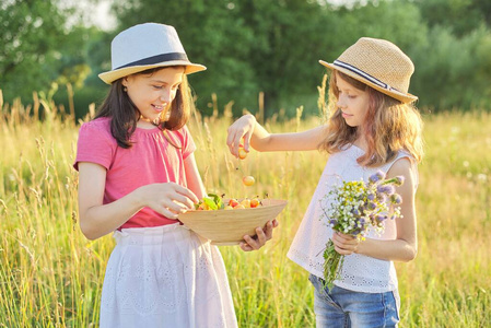 夏天 素食主义者 收获 微笑 健康 浆果 女孩 饮食 食物
