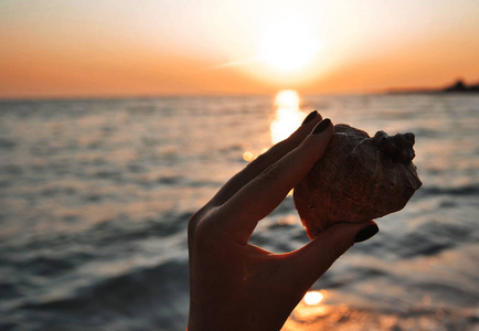 美丽的 岩石 海洋 自然 假期 夏天 假日 贝壳 放松 海滩