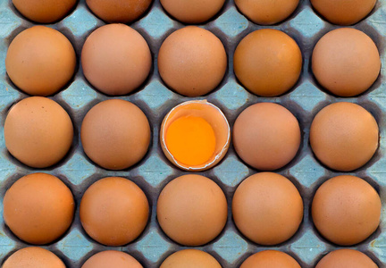 生的 市场 动物 母鸡 食物 维生素 蛋白质 重量 营养