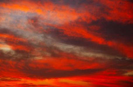 早晨 日出 暮光 纹理 粉红色 地平线 环境 气象学 云景