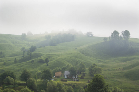 精彩的 乡村 阳光 森林 旅游业 旅行 山谷 全景 全景图