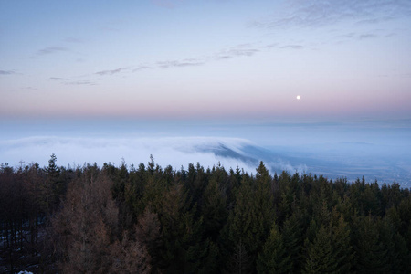 早晨 薄雾 自然 冬天 日落 森林 小山 日出 全景图 天空