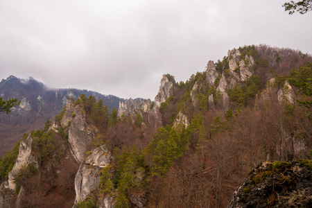 森林 小山 全景图 天空 夏天 公园 山谷 旅行 阿尔卑斯山