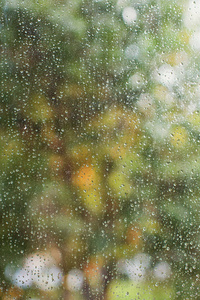 变模糊 薄雾 暴风雨 春天 寒冷的 泼洒 天气 液滴 凝结