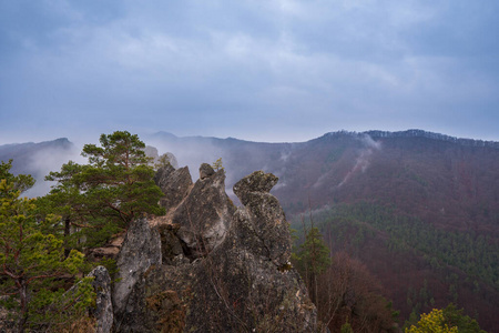 斯洛伐克 海岸 海岸线 风景 天空 全景图 岩石 自然 森林