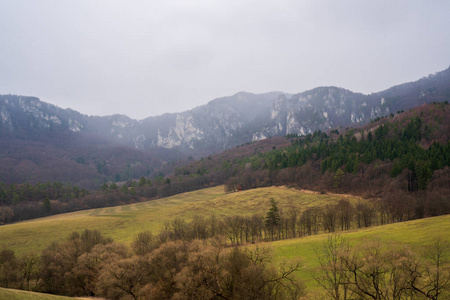 阿尔卑斯山 小山 天空 岩石 公园 自然 全景图 风景 国家的