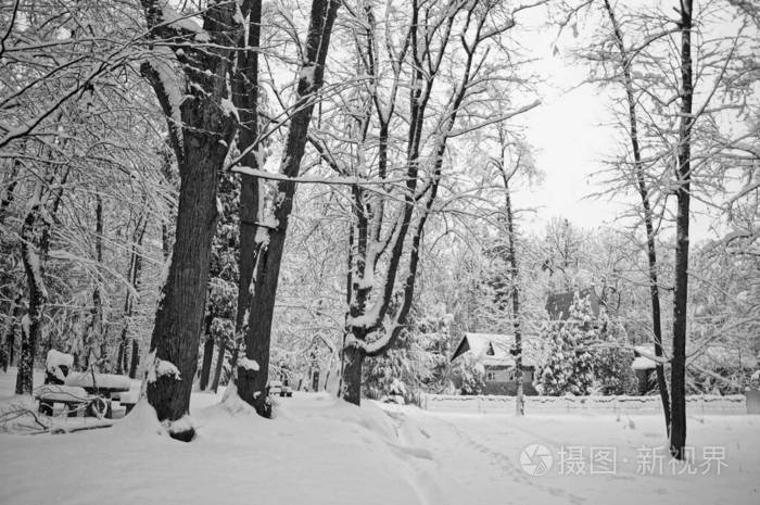 圣诞节 冷冰冰的 风景 步行 天气 寒冷的 雪堆 天空 全景图