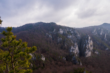 全景图 旅游业 天空 自然 山谷 森林 国家的 风景 美丽的