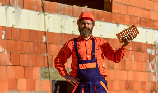 拿着砖头哪吒图片