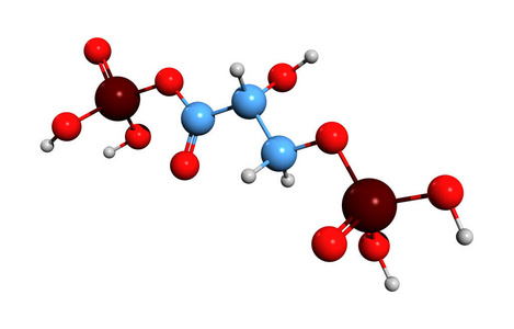 代谢物 高的 生产 机制 草药 呼吸 光合作用 分子 粘贴