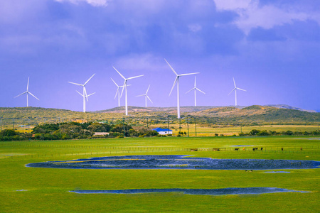 生态学 创新 天空 生产 自然 能量 领域 权力 澳大利亚