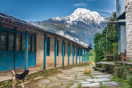 博卡拉 风景 旅行 挑战 美女 喜马拉雅山脉 环境 山谷