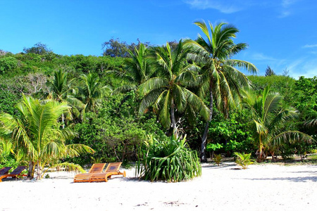 天堂 梦想 太阳 浪漫的 斐济 棕榈 椅子 地平线 假日