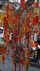 河内 新的 亚洲 节日 泰特 越南 假日 庆祝