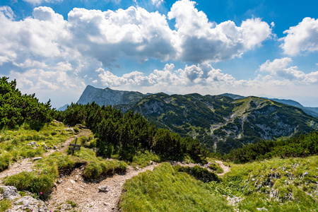 旅行 阿尔卑斯山 领域 天空 风景 假日 平房 德语 森林