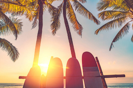 旅游业 椰子 夏威夷 风景 日出 冲浪板 树叶 复古的 冒险