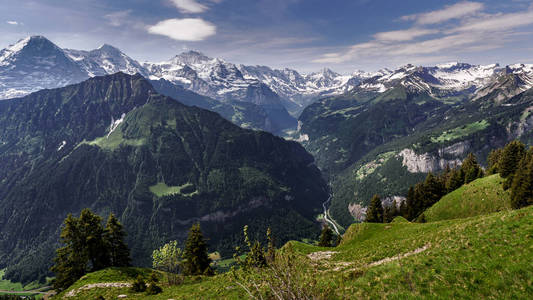 伍兹 瑞士人 领域 风景 首脑会议 旅游业 欧洲 美丽的