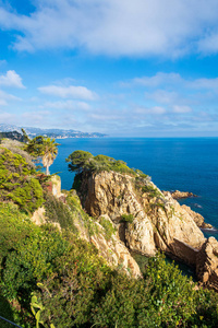 假期 海岸 风景 悬崖 美丽的 天空 植物 地中海 夏天