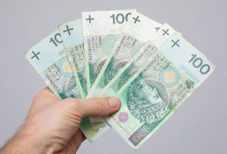 波兰和欧元纸币孤立钞票 100 pln黑色乌鸦坐在石头上.
