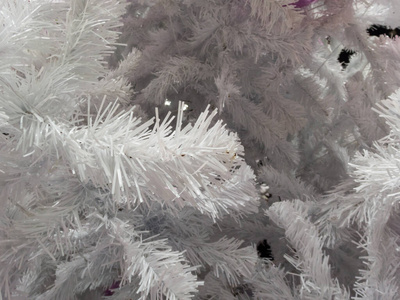 圣诞节 假日 自然 晶体 寒冷的 冬天 季节 纹理