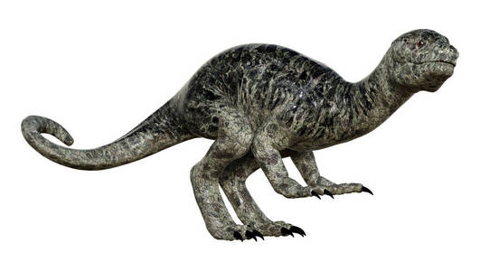 侏罗纪 权力 古生物学 动物 爬行动物 雷克斯 生物 危险
