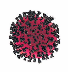 白色背景下分离出的冠状病毒的显微照片