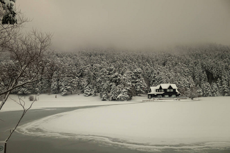 博鲁戈尔库克国家公园，雪天。土耳其