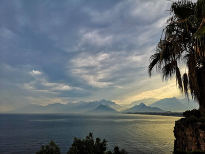 旅行 轮廓 夏天 棕榈 海滩 天堂 自然 日落 日出 风景