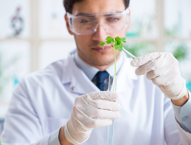 在植物实验室工作的男生化学家图片