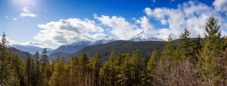 加拿大人 早晨 天空 风景 旅游业 美丽的 自然 加拿大