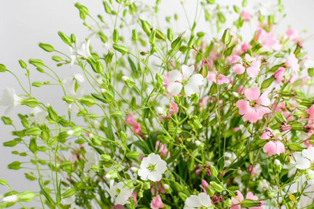 美丽的 自然 特写镜头 木材 芳香 植物 花束 花园 春天