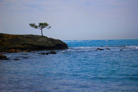 海滩 日落 黄昏 冬天 早晨 地平线 太阳 美丽的 领域