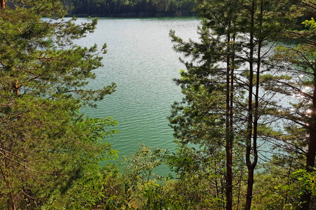 森林 反射 环境 春天 季节 假期 旅行 自然 绿松石 切尔尼科夫