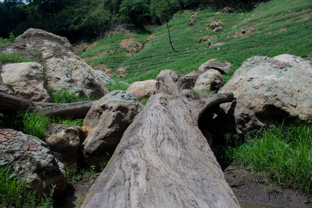 植物 季节 风景 木材 旅游业 树叶 镜像 公园 岩石 森林