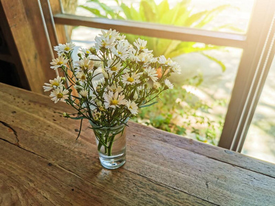 美丽的 园艺 活的 夏天 花的 房子 假日 复制 开花 植物