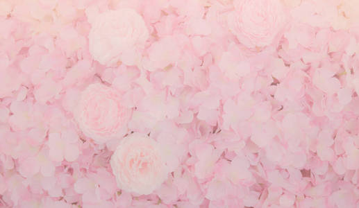 颜色 开花 花的 春天 浪漫的 浪漫 粉红色 玫瑰 露水