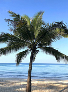 旅游业 旅行 天堂 海滩 泻湖 热带 太阳 海湾 天空 波动