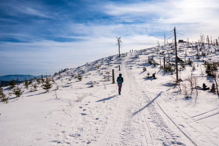 季节 冬天 徒步旅行 自然 森林 女人 滑雪 天空 风景