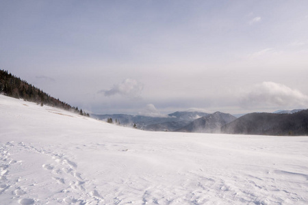 全景图 冬天 滑雪 阿尔卑斯山 寒冷的 小山 森林 风景
